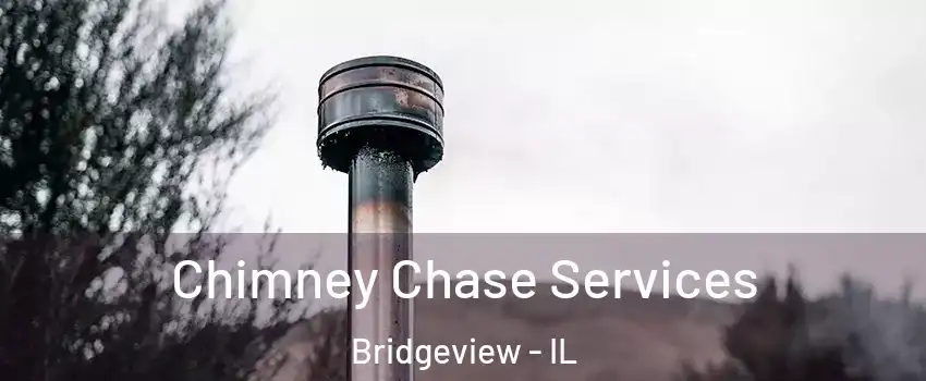  Chimney Chase Services Bridgeview - IL