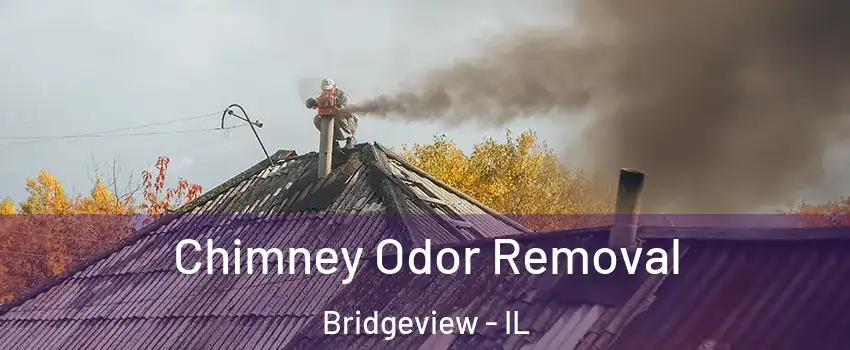  Chimney Odor Removal Bridgeview - IL