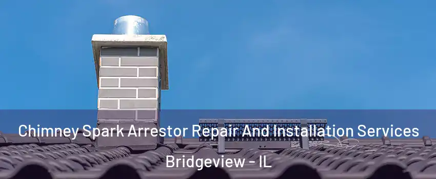  Chimney Spark Arrestor Repair And Installation Services Bridgeview - IL