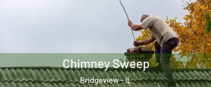  Chimney Sweep Bridgeview - IL