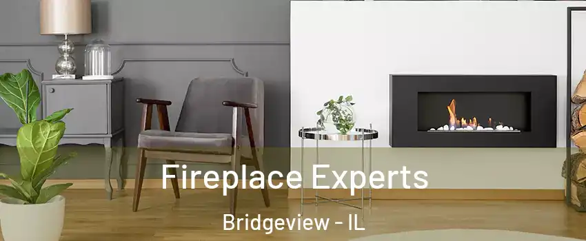  Fireplace Experts Bridgeview - IL