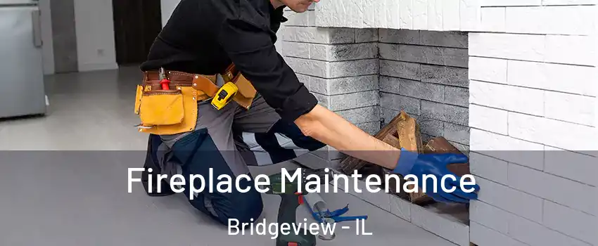  Fireplace Maintenance Bridgeview - IL