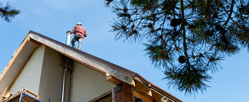 Birds Removal Contractors from Chimney in Bridgeview, IL