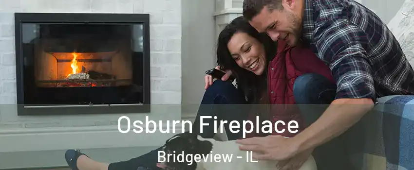  Osburn Fireplace Bridgeview - IL